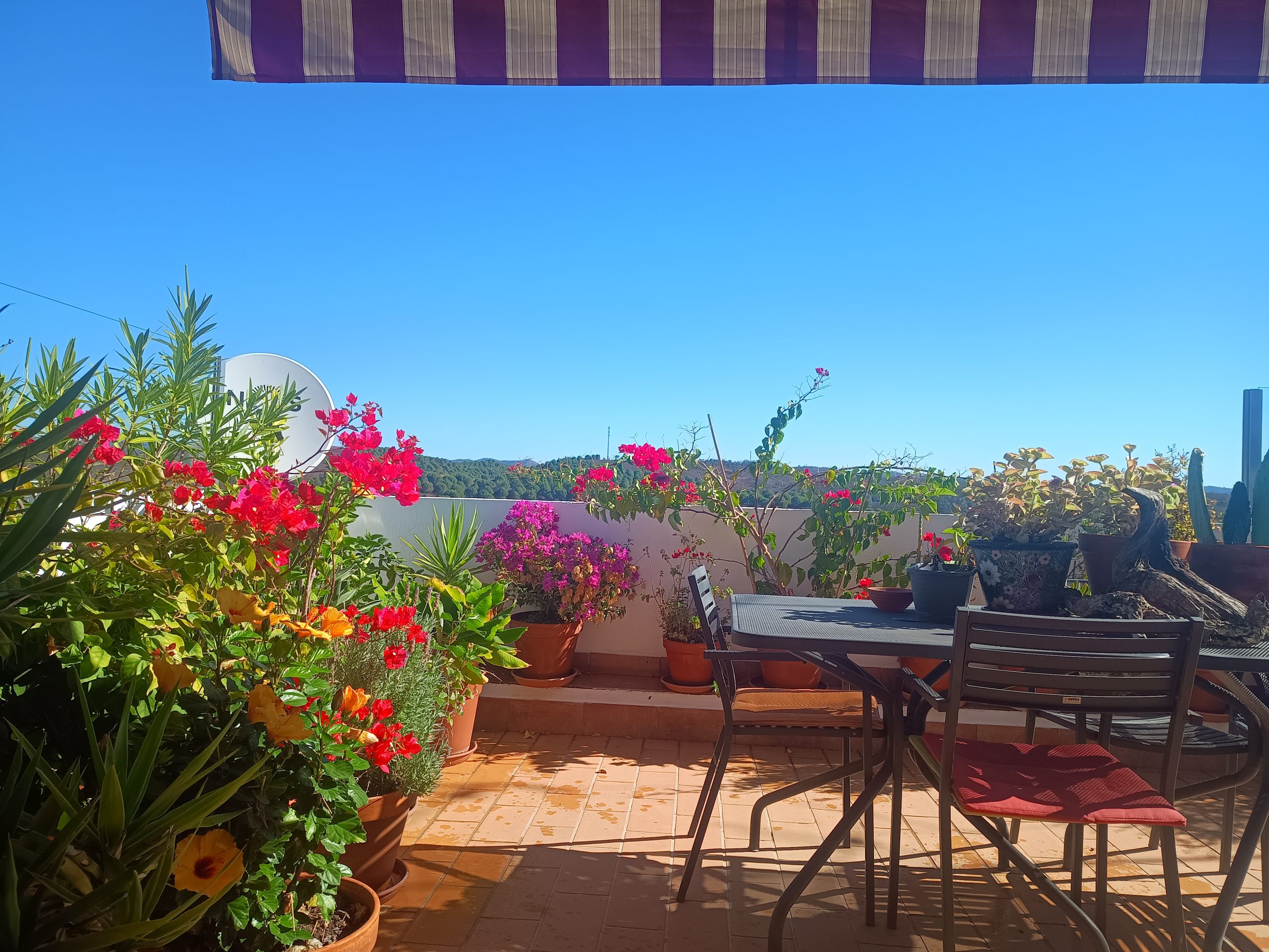 Newsletter Life & Nature Coaching and Personal and Articles for Women and Expats